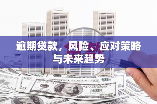 汝南逾期贷款，风险、应对策略与未来趋势