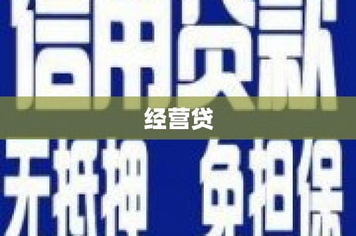 汝南经营贷