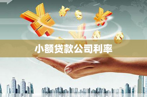 汝南小额贷款公司利率