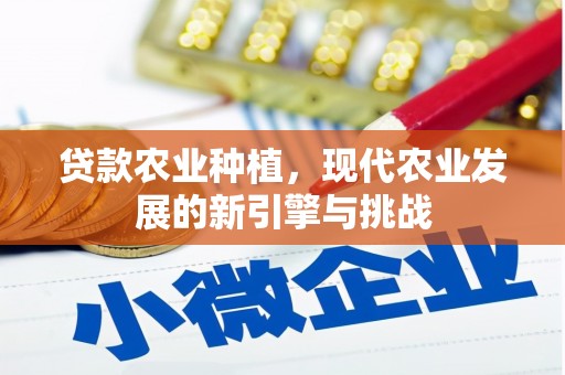 汝南贷款农业种植，现代农业发展的新引擎与挑战