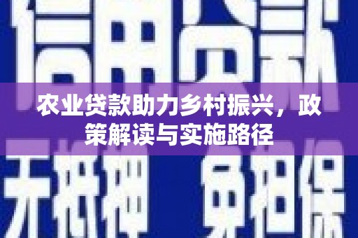 汝南农业贷款助力乡村振兴，政策解读与实施路径