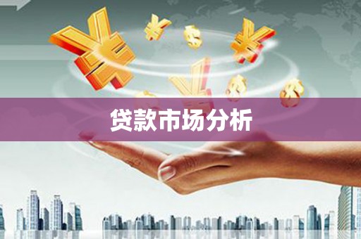 汝南贷款市场分析