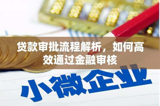 汝南贷款审批流程解析，如何高效通过金融审核