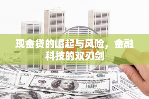 汝南现金贷的崛起与风险，金融科技的双刃剑