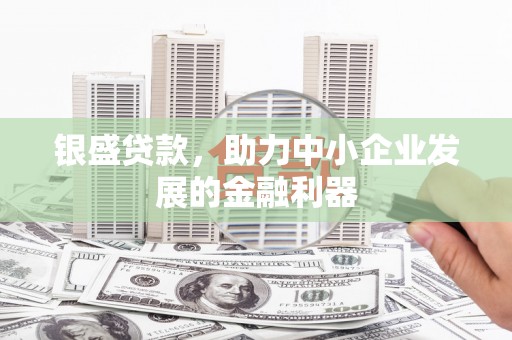 汝南银盛贷款，助力中小企业发展的金融利器