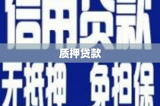 汝南质押贷款