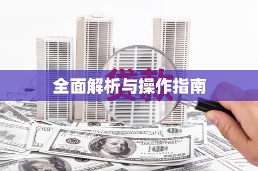 汝南全面解析与操作指南