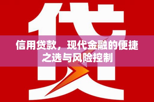 汝南信用贷款，现代金融的便捷之选与风险控制