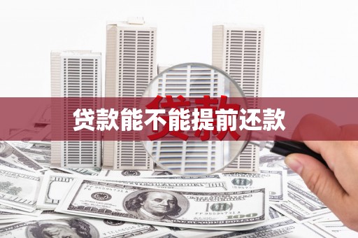 汝南贷款能不能提前还款