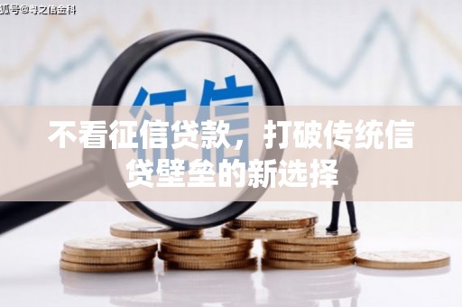 汝南不看征信贷款，打破传统信贷壁垒的新选择