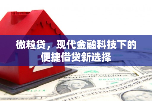 汝南微粒贷，现代金融科技下的便捷借贷新选择
