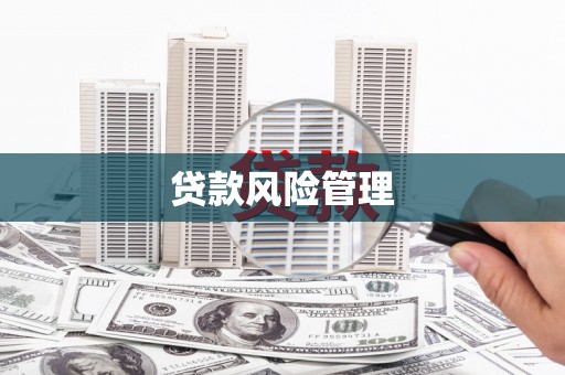 汝南贷款风险管理