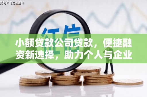 汝南小额贷款公司贷款，便捷融资新选择，助力个人与企业成长
