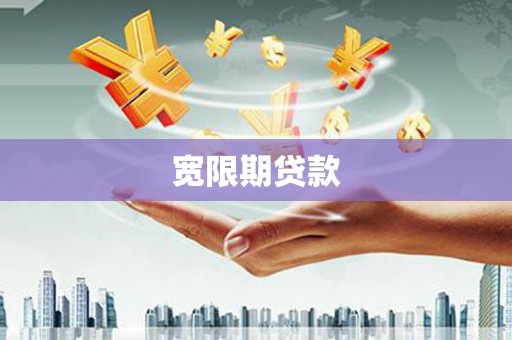 汝南宽限期贷款