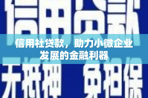 汝南信用社贷款，助力小微企业发展的金融利器