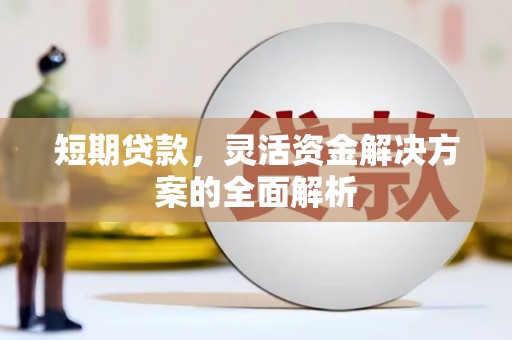 汝南短期贷款，灵活资金解决方案的全面解析