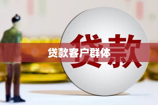 汝南贷款客户群体
