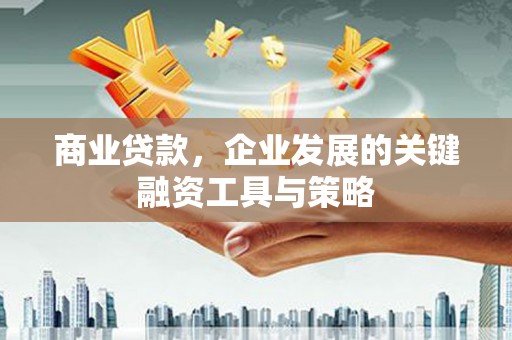 汝南商业贷款，企业发展的关键融资工具与策略