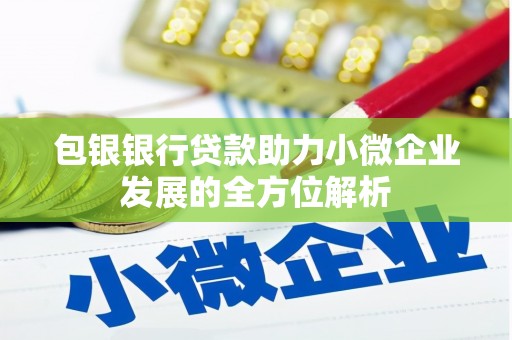 汝南包银银行贷款助力小微企业发展的全方位解析