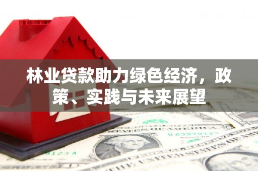 汝南林业贷款助力绿色经济，政策、实践与未来展望