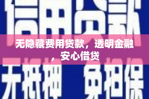 汝南无隐藏费用贷款，透明金融，安心借贷