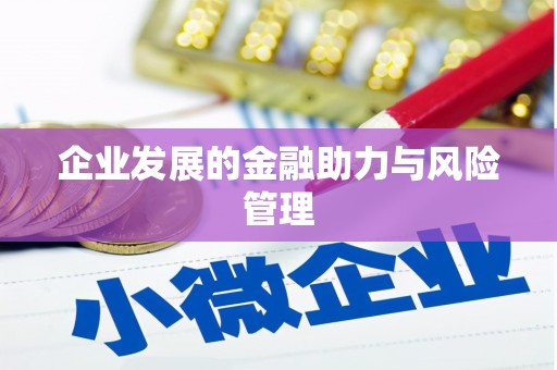 汝南企业发展的金融助力与风险管理