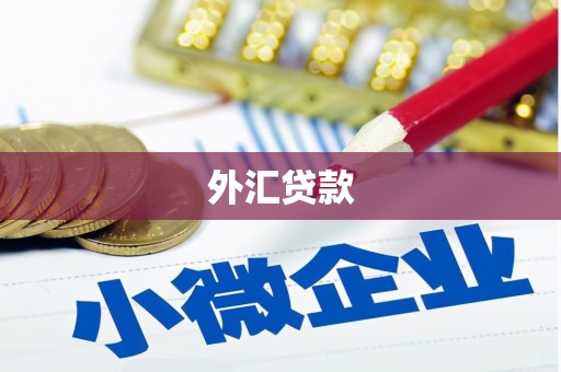 汝南外汇贷款