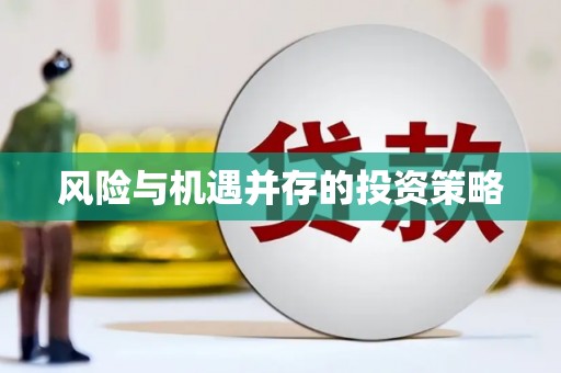汝南风险与机遇并存的投资策略