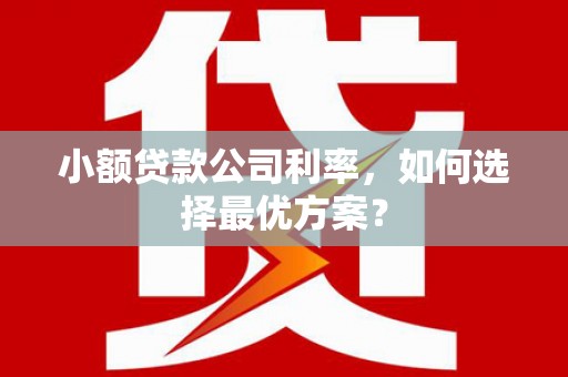 汝南小额贷款公司利率，如何选择最优方案？