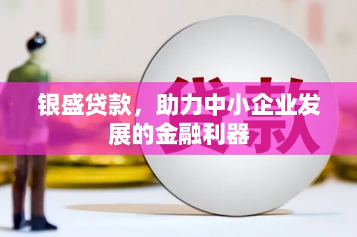 汝南银盛贷款，助力中小企业发展的金融利器