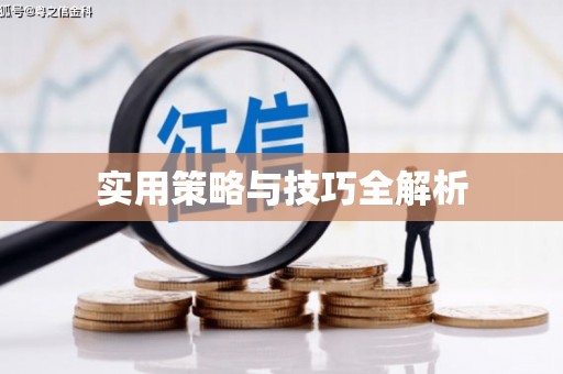 汝南实用策略与技巧全解析