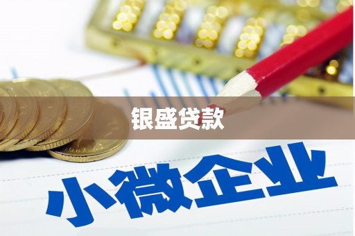 汝南银盛贷款
