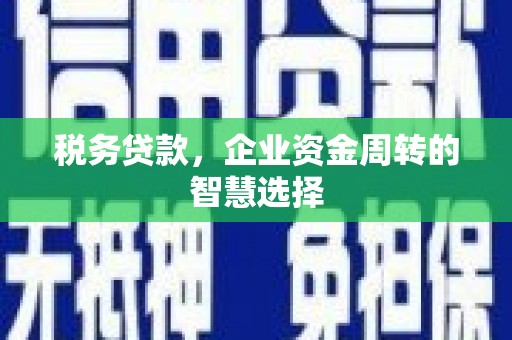 汝南税务贷款，企业资金周转的智慧选择