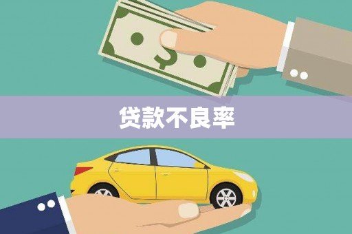 汝南贷款不良率