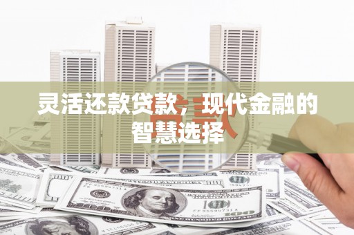 汝南灵活还款贷款，现代金融的智慧选择