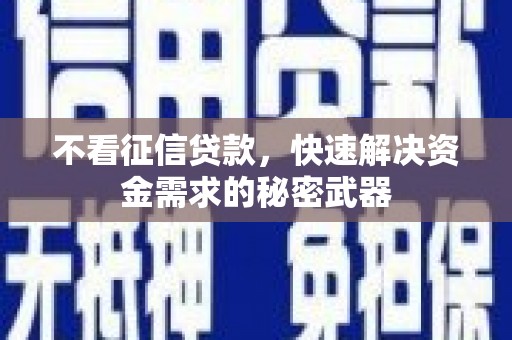 汝南不看征信贷款，快速解决资金需求的秘密武器