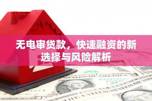 汝南无电审贷款，快速融资的新选择与风险解析