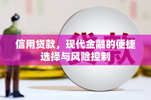 汝南信用贷款，现代金融的便捷选择与风险控制