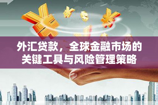 汝南外汇贷款，全球金融市场的关键工具与风险管理策略
