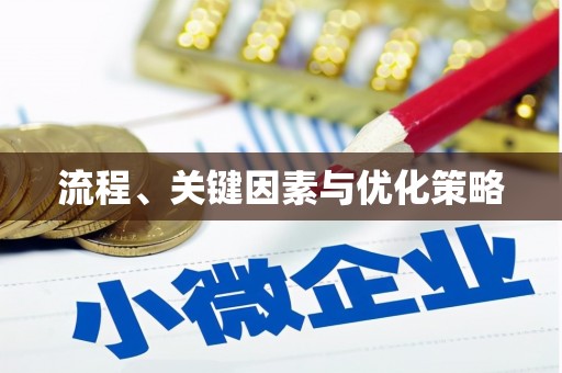 汝南流程、关键因素与优化策略