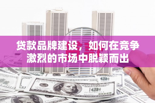 汝南贷款品牌建设，如何在竞争激烈的市场中脱颖而出