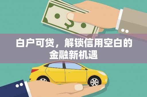 汝南白户可贷，解锁信用空白的金融新机遇