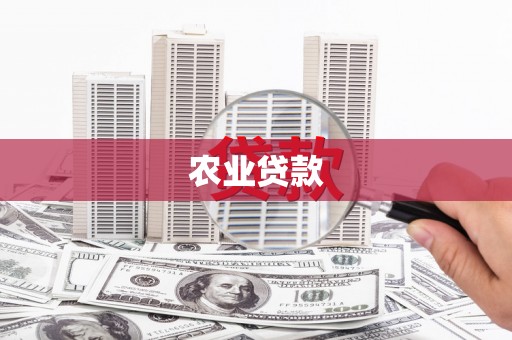 汝南农业贷款
