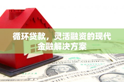 汝南循环贷款，灵活融资的现代金融解决方案