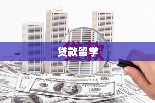 汝南贷款留学