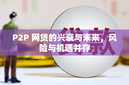 汝南P2P 网贷的兴衰与未来，风险与机遇并存