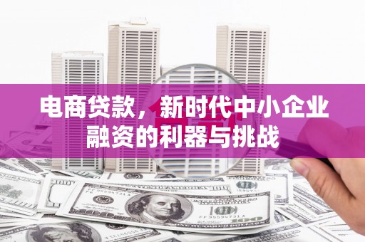 汝南电商贷款，新时代中小企业融资的利器与挑战