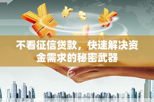 汝南不看征信贷款，快速解决资金需求的秘密武器