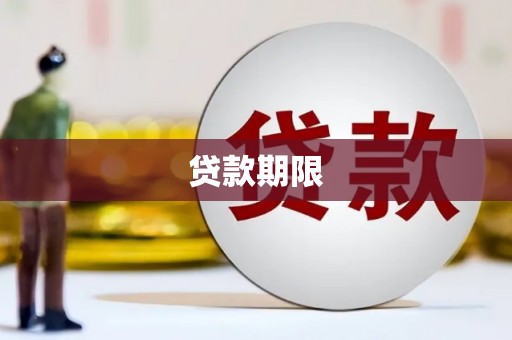 汝南贷款期限