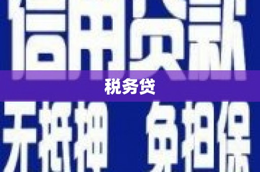 汝南税务贷